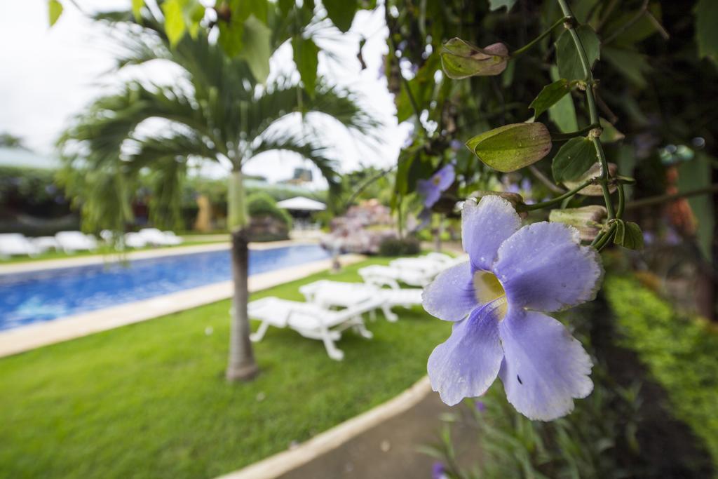 Playa Potrero Apartments Buitenkant foto